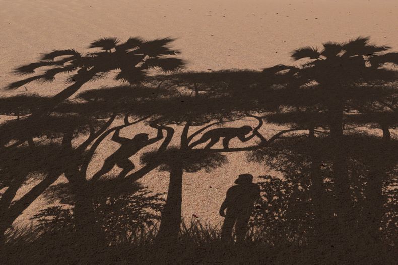 AMN-CIE EVOLUCIÓN-CAMINAR