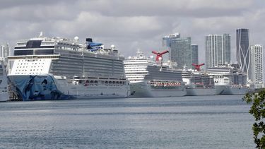 gobernador de florida no permite desembarque de cruceros