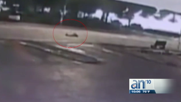 familia de hialeah desesperada tras accidente de trafico donde un joven perdido la vida