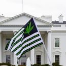 ARCHIVO - Un manifestante ondea una bandera decirada con hojas de marihuana durante una protesta por la legalización, frente a la Casa Blanca, Washington, 2 de abril de 2016. El presidente Joe Biden ha ordenado que miles de personas condenadas por consumo y posesión simple de marihuana en tierras federales y el distrito capitalino pueden solicitar su indulto, dijo la Casa Blanca el viernes 22 de diciembre de 2023. Es la ronda más reciente de indultos presidenciales destinados a rectificar disparidades raciales en el sistema judicial. (AP Foto/Jose Luis Magana, File)