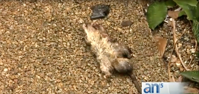 Screen Shot 2017-08-29 at 7.59.02 PM.png