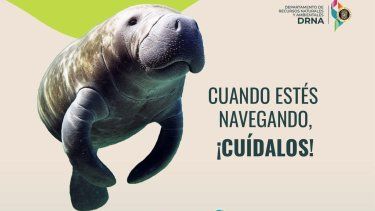 drna lanza campana pal agua seguro para promover la seguridad y proteccion marina