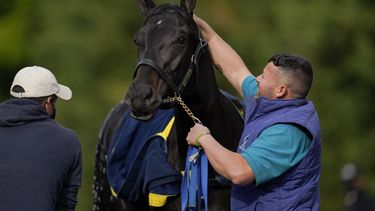 Despojan a Medina Spirit del triunfo en el Derby de Kentucky