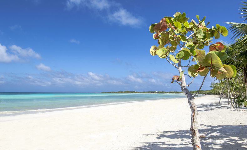 Melia cayo coco Cuba