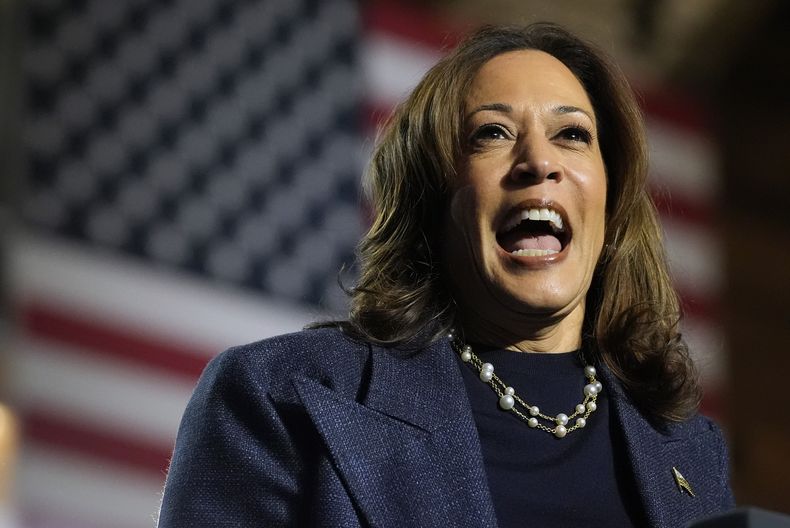 La candidata demócrata y vicepresidenta Kamala Harris habla durante un mitin de campaña en Jenison Field House, en el campus de la Universidad Estatal de Michigan, el domingo 3 de noviembre de 2024, en East Lansing, Michigan. (AP Foto/Jacquelyn Martin)