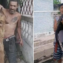 Holguín: Animalistas cubanos denuncian a un hombre por cazar perros y tiñosas presuntamente para comer