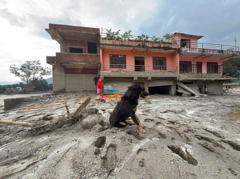 Un perro descansa en terreno fangoso frente a una vivienda dañada tras las inundaciones repentinas en el área de Devighat, en el distrito Nuwakot de Nepal, el viernes 28 de agosto de 2026. (AP Foto/Rajesh Kumar Singh)