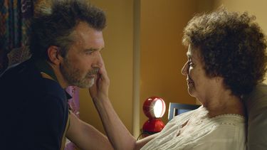 “Dolor y gloria” y “Parásitos” cerca de nominación al Oscar