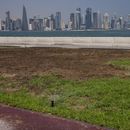 AP Explica: Qatar depende de la desalinización