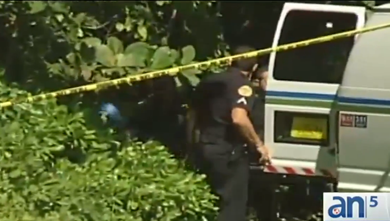 Han encontrado el cuerpo de una mujer flotando cerca del puente Julia Turtle en la Bahía de Byscaine.