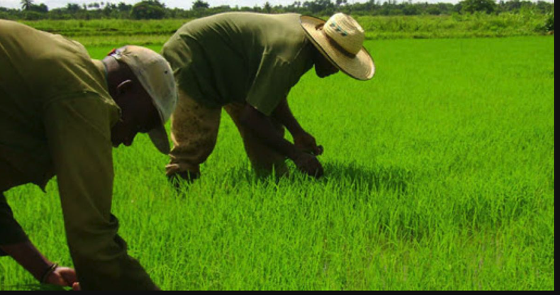 Screenshot 2023-01-16 at 3.26.37 PM.png