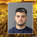 Arrestan en Colorado a cubanoamericano por cultivo ilegal de marihuana