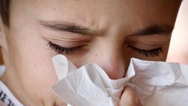 los niveles de esporas de hongos estan altos en el ambiente