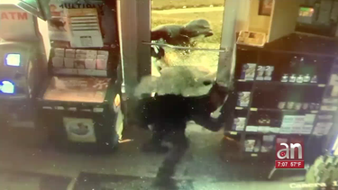 ladrones roban mas de $7 mil  en una licoreria de miami