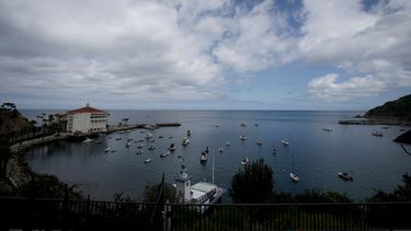 ARCHIVO - Una vista del puerto en la isla Catalina en Avalon, California, el sábado 18 de abril de 2020. (AP Foto/Chris Carlson, Archivo)