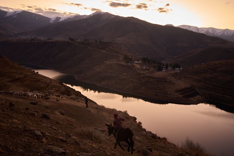 Pastores con sus rebaños en las montañas de Ha Lejone, Lesoto, el 14 de julio del 2025. (AP foto/Bram Janssen)