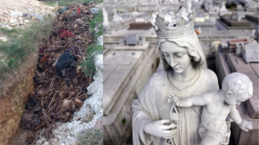 salen a la luz macabras imagenes del cementerio de colon: encuentran una zanja llena de cavares al aire libre