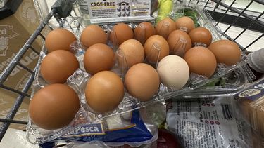 Un cartón de huevos en un supermercado en Windham, Maine el 27 de enero del 2025. (AP foto/Robert F. Bukaty)