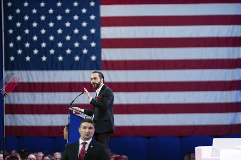 download - 2025-02-22T094149.527.jpeg