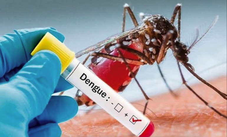 Dengue en Miami-Dade: Reportan primer caso y emiten advertencia