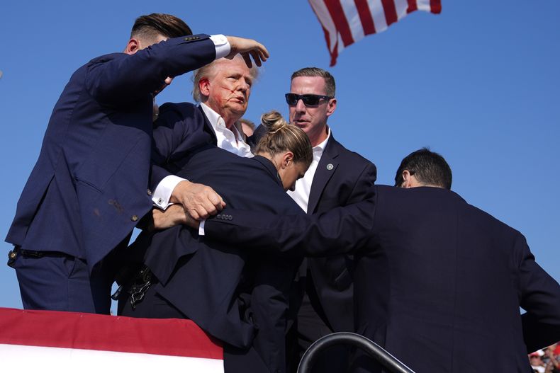 Donald Trump, el virtual candidato presidencial republicano, es custodiado por agentes del Servicio Secreto de Estados Unidos durante un aparente intento de asesinato en un acto de campaña, el sábado 13 de julio de 2024, en Butler, Pensilvania. (AP Foto/Evan Vucci)