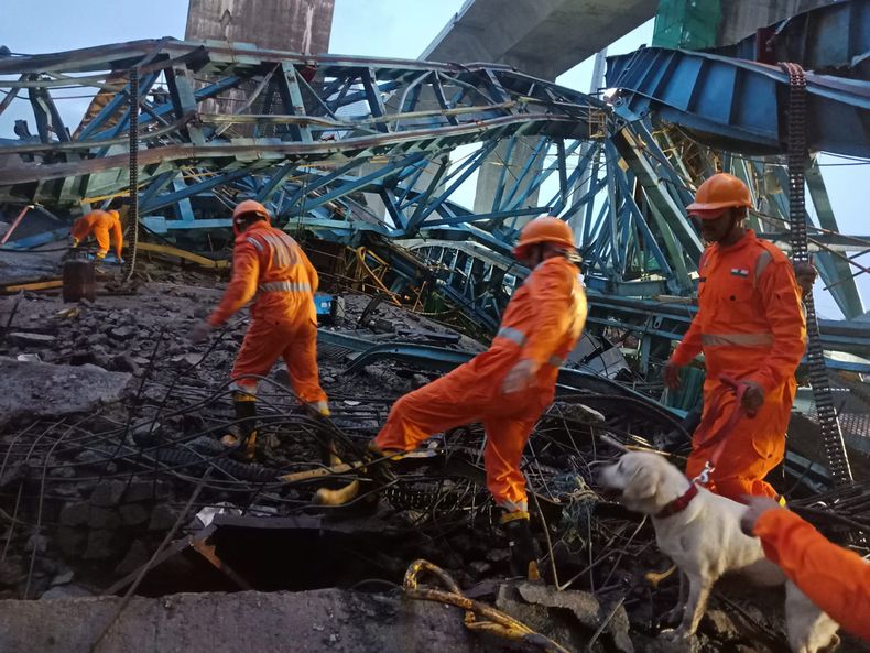 En esta imagen, distribuida por la Fuerza Nacional de Respuesta a Desastres de India, se muestra a operario de la agencia trabajando en un operativo de rescate tras el colapso de una grúa en un puente en contracción en Shahapur, en Thane, en el distrito de Maharashtra, India, el 1 de agosto de 2023. (NDRF vía AP)