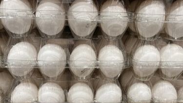 brotes de gripe aviar y nuevas regulaciones disparan el precio de los huevos en eeuu hasta un 20%