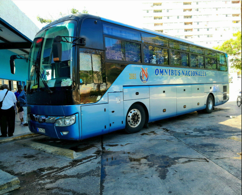 Buses nacionales