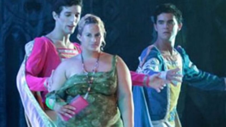 Intrusos sobre el escenario, móviles encendidos y bebés llorando boicotearon la última función celebrada por el Ballet Nacional de Cuba (BNC) en La Habana, según denunció el diario oficialista Granma, que pidió acciones concretas contra las "indiscip