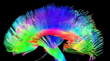 ¿es nuestra conciencia simplemente una ilusion?