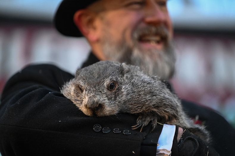 El cuidador del Club de la Marmota, A.J. Dereume, sostiene a Punxsutawney Phil, la marmota que pronostica el clima, en el 140º Día de la Marmota, en Gobblers Knob, Pensilvania, el lunes 2 de febrero de 2026. Los cuidadores de Phil dijeron que la marmota pronosticó seis semanas más de invierno. (Foto AP/Barry Reeger)