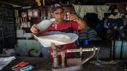 precio de la libra de arroz en cuba esta por las nubes