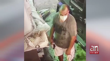 captado en camara quedo el robo a un dealer de autos en allapattah