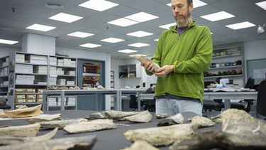 En esta foto, proporcionada por el Consejo Superior de Investigaciones Científicas de España (CSIC), el investigador Ignacio de la Torre sostiene una herramienta de hueso hallada en la Garganta de Olduvai en Tanzania, en el Laboratorio de Arqueología del Pleistoceno del CSIC en Madrid en 2023. (Angeliki Theodoropoulou/CSIC vía AP)