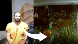 video impactante revela tiroteo en fiesta de cumpleanos en miami: tres heridos y un agresor capturado