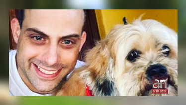 se busca al asesino de un cubano apunalado dentro de su residencia en kendall