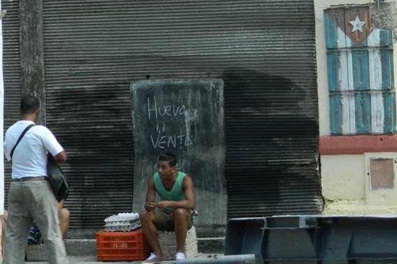 Comprar un cartón de huevos consume un buen porciento del salario de un trabajador.