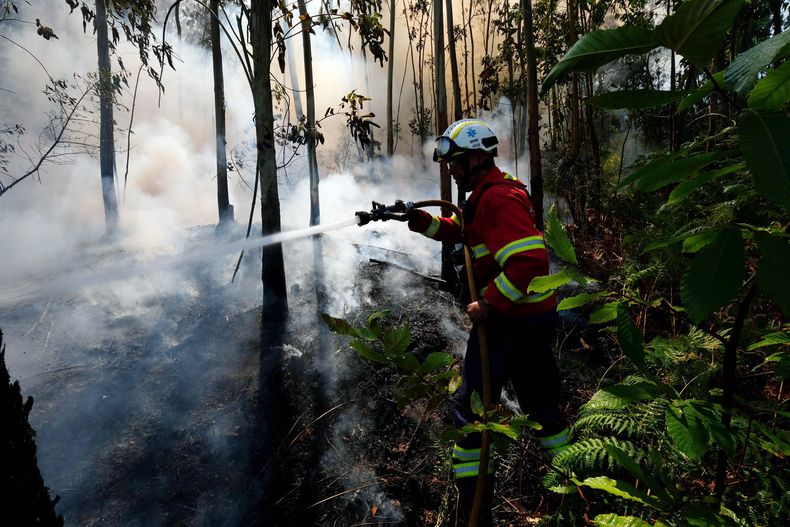 EUR-GEN_PORTUGAL-INCENDIOS-0.jpg