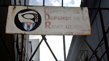 profesionales de la chivateria
