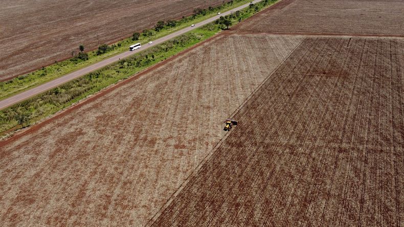 ARCHIVO - Una máquina planta soya en una granja de un área rural del municipio de Sidrolandia, estado de Mato Grosso do Sul, el 22 de octubre de 2022, en Brasil. (AP Foto/Eraldo Peres, archivo)