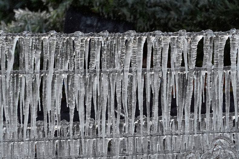 Carámbanos cuelgan de una cerca de alambre de púas que rodea un invernadero, el domingo 1 de febrero de 2026, en Plant City, Florida. (AP Foto/Chris OMeara)
