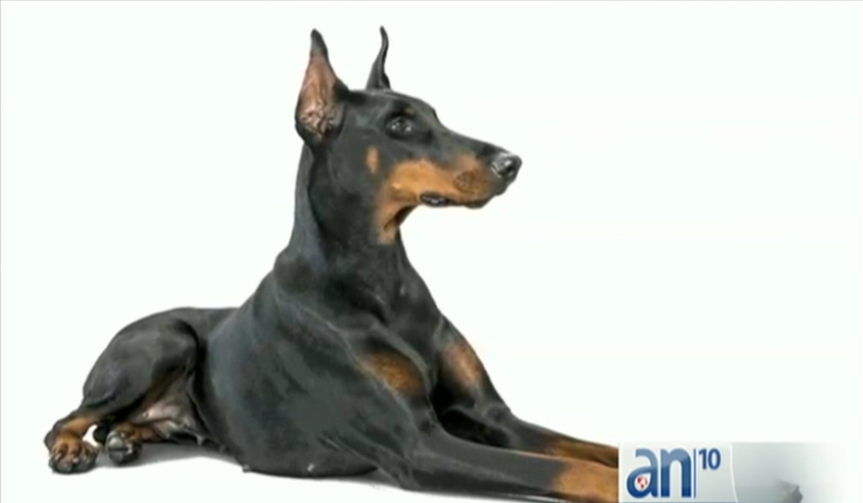 Screen Shot 2015-10-21 at 10.04.50 PM.png