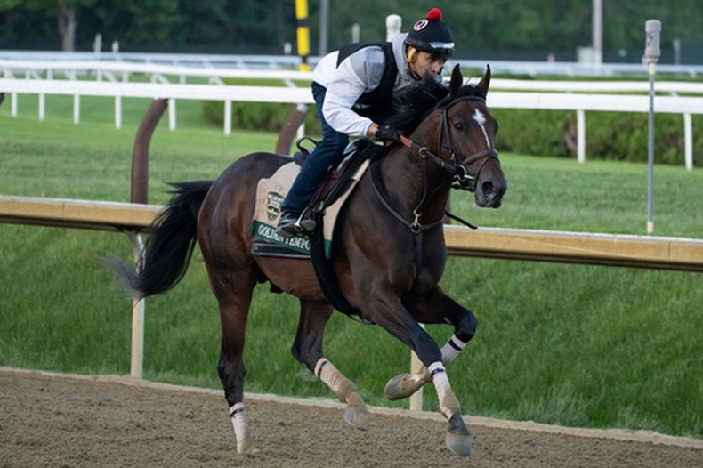 Golden Tempo entrena para la 158va edición de Belmont Stakes en Saratoga Springs, Nueva York, el viernes 5 de junio de 2026 (AP Foto/Yuki Iwamura)