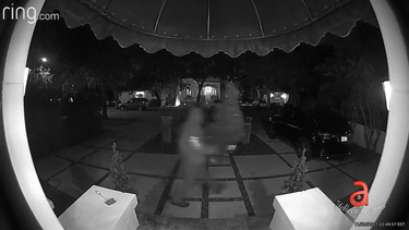 familia de miami es victima de robo: un hombre se llevo varios arboles de navidad que decoraban el frente de su casa