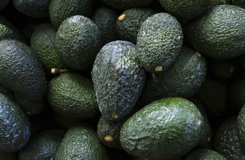 REP-GEN MÉXICO-AGUACATES