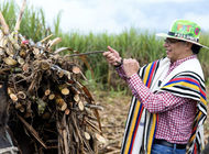 colombia: quien es gustavo petro, el  ex guerrillero que llego a presidente