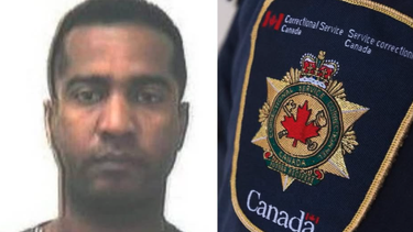 canada declara delincuente peligroso a inmigrante cubano con antecedentes de proxenetismo en cuba