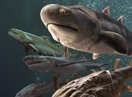 hallan en china los dientes fosiles mas antiguos