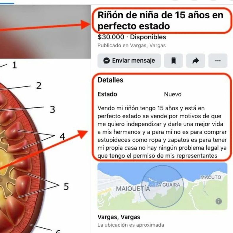 WhatsApp Image 2022-04-15 at 4.36.00 PM.jpeg