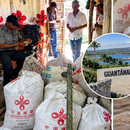 Investigan venta ilegal de arroz en Guantánamo que podría proceder de una donación de China